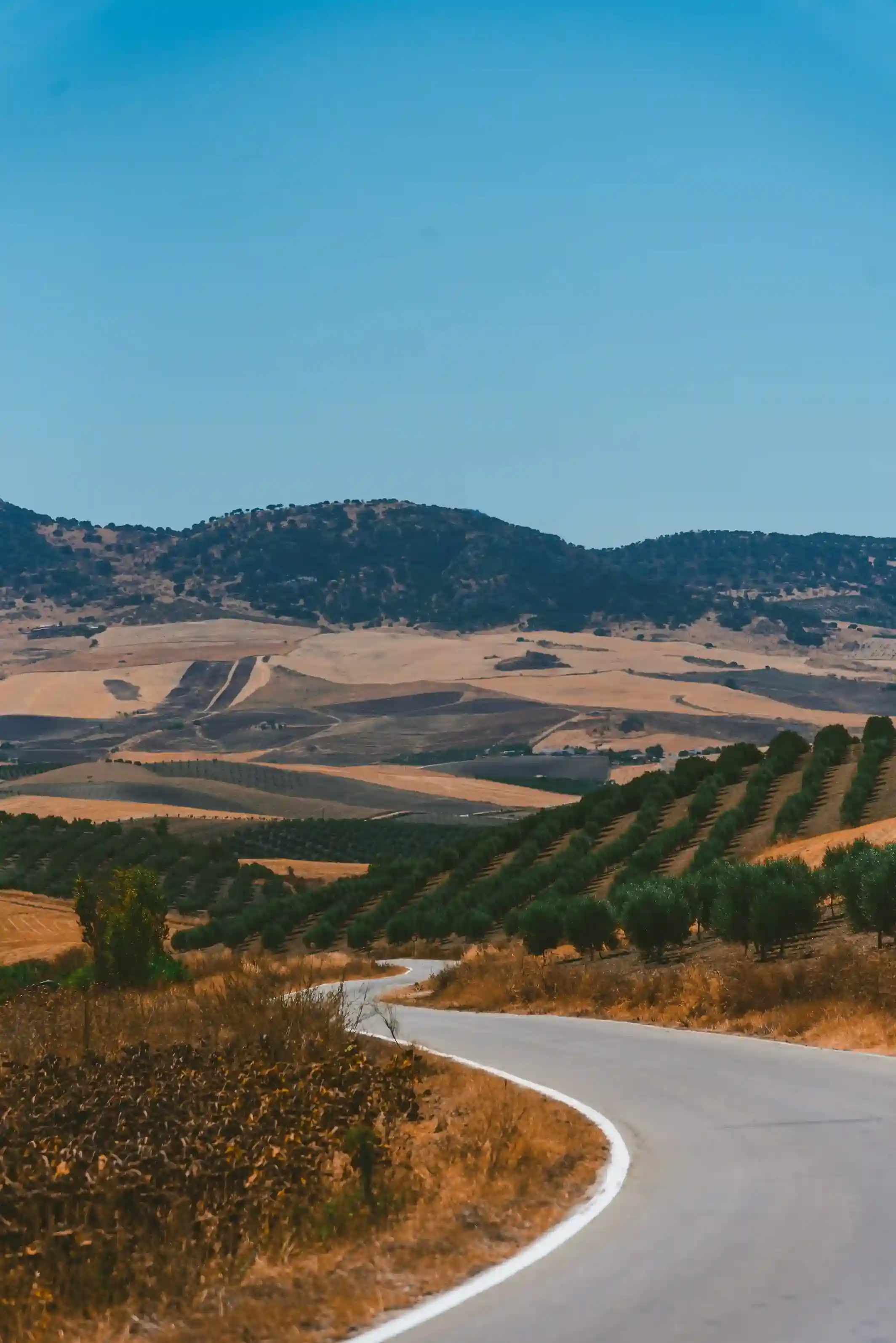 Australian Road Trip Adventure